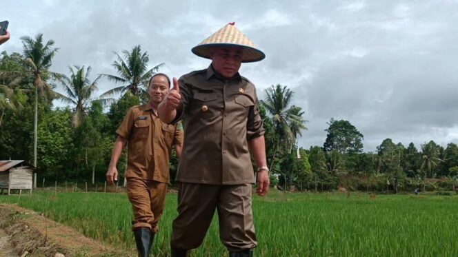 
 Foto : Gubernur Kaltim Saat Mengunjungi Kawasan Pertanian di Desa Bukit Biru, Kutai Kartanegara.